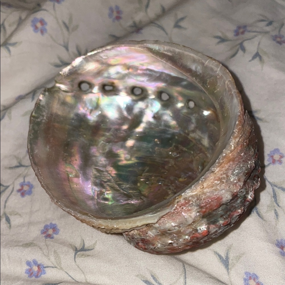Iridescent Shell Bowl